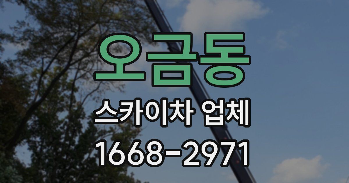 오금동 스카이차 업체