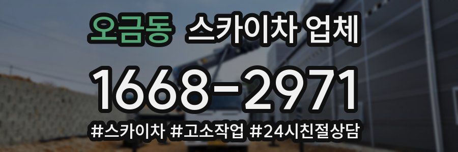 오금동 스카이차 업체