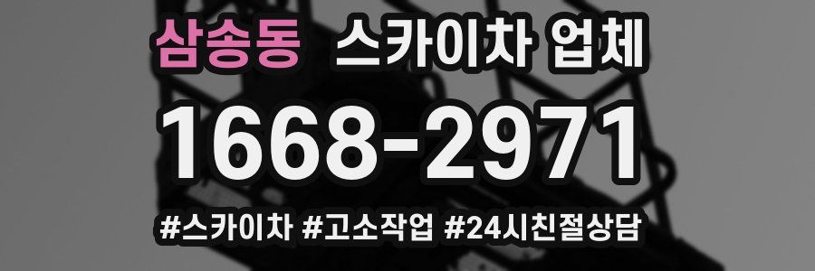 삼송동 스카이차 업체