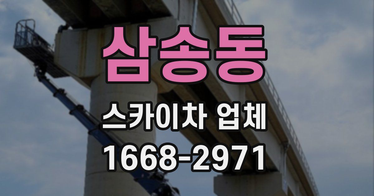 삼송동 스카이차 업체