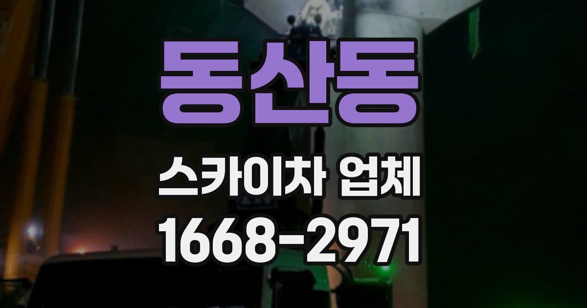 동산동 스카이차 업체