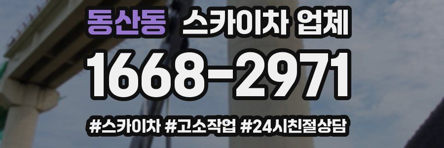 동산동 스카이차 업체