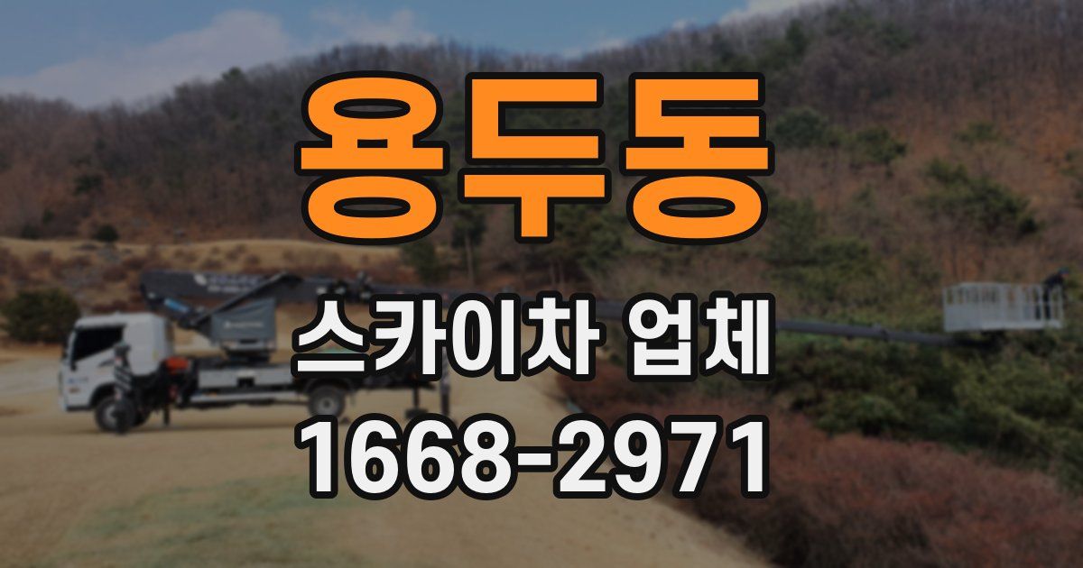용두동 스카이차 업체