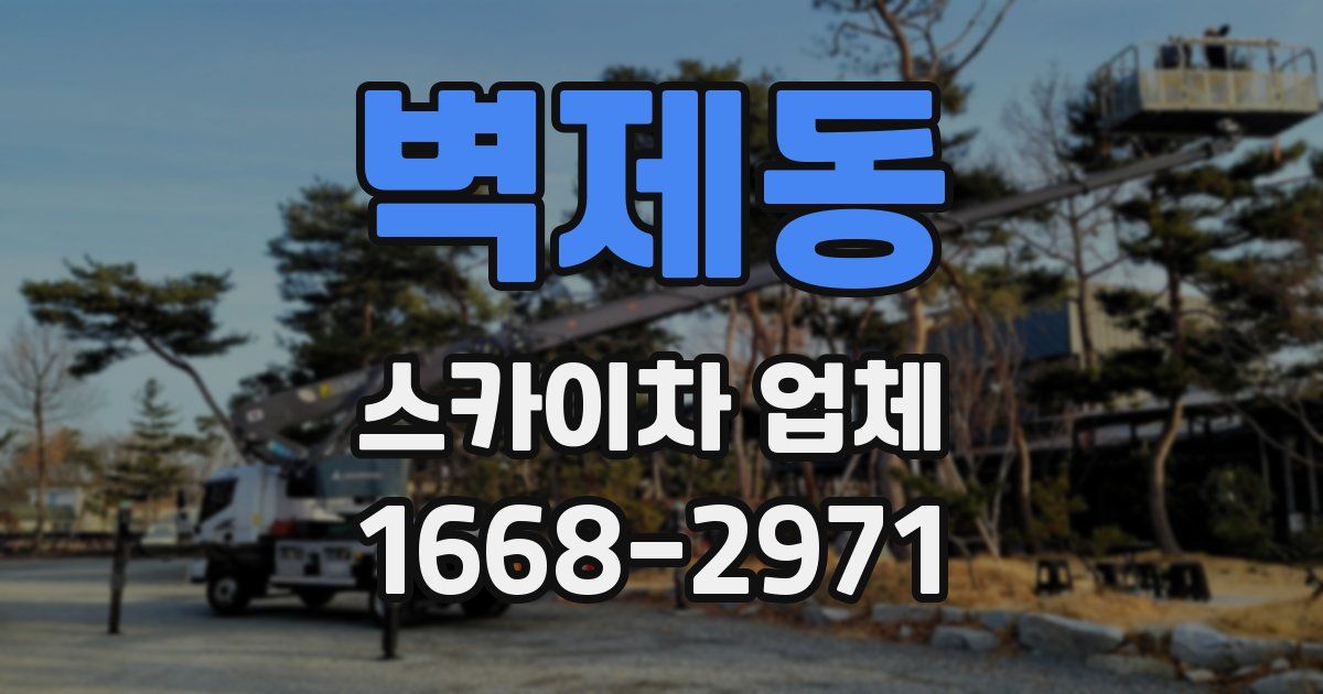 벽제동 스카이차 업체