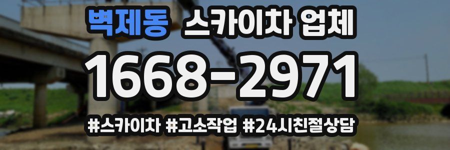 벽제동 스카이차 업체