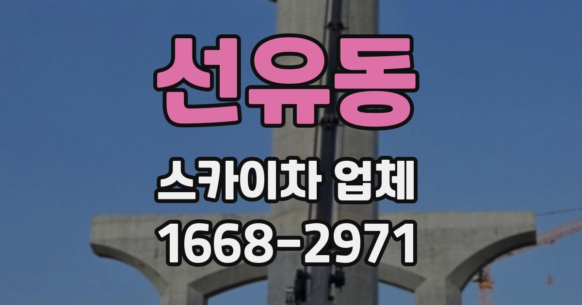 선유동 스카이차 업체