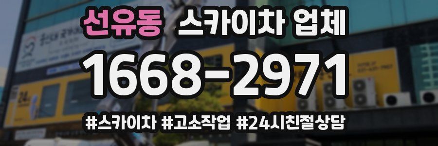 선유동 스카이차 업체