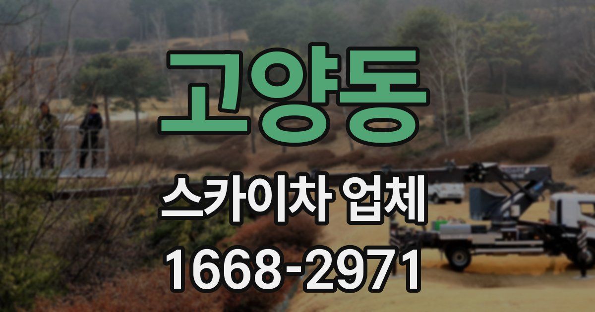 고양동 스카이차 업체