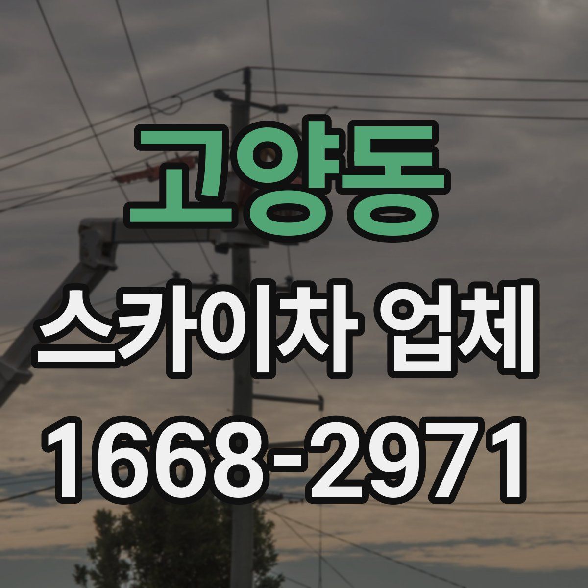 고양동 스카이차 업체