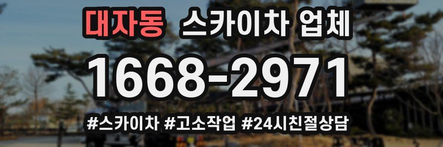 대자동 스카이차 업체