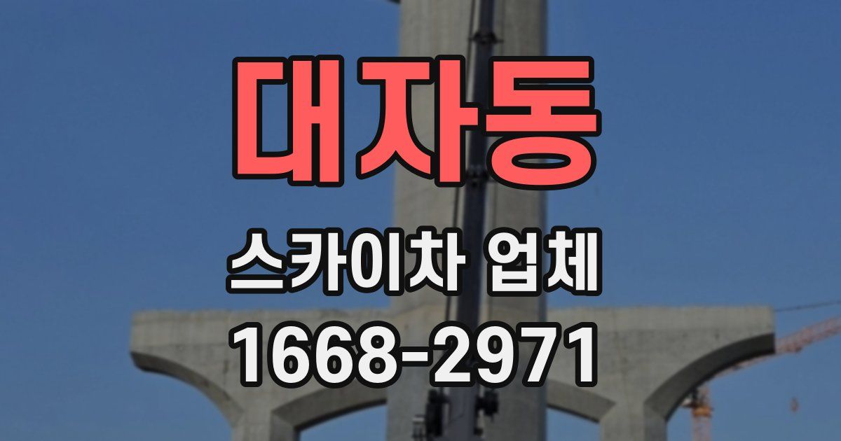 대자동 스카이차 업체