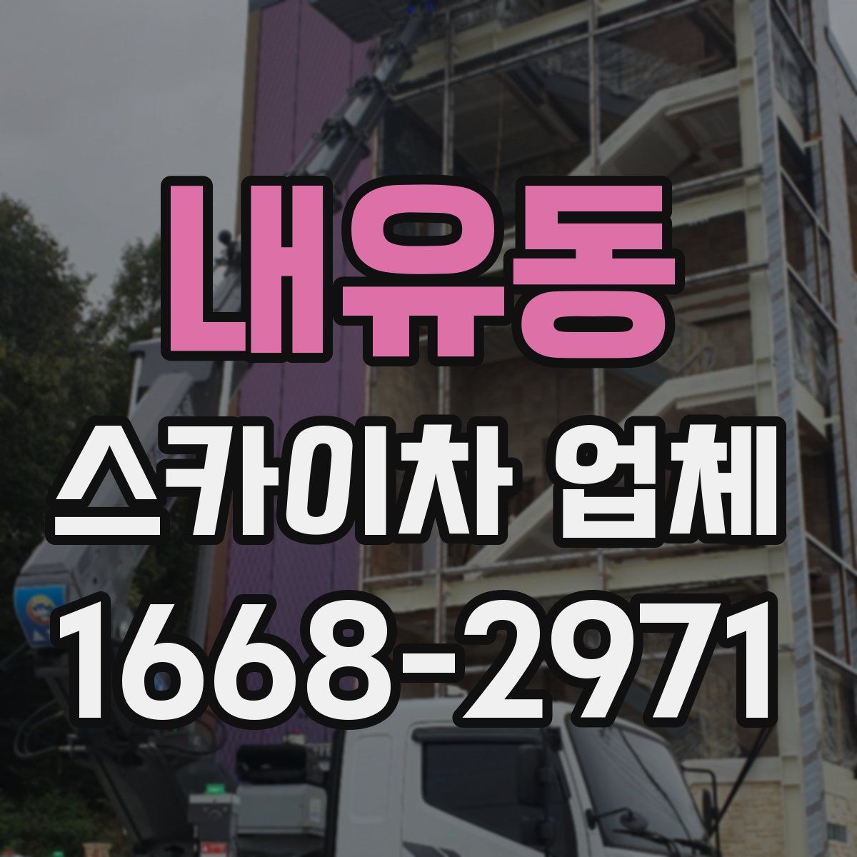 내유동 스카이차 업체