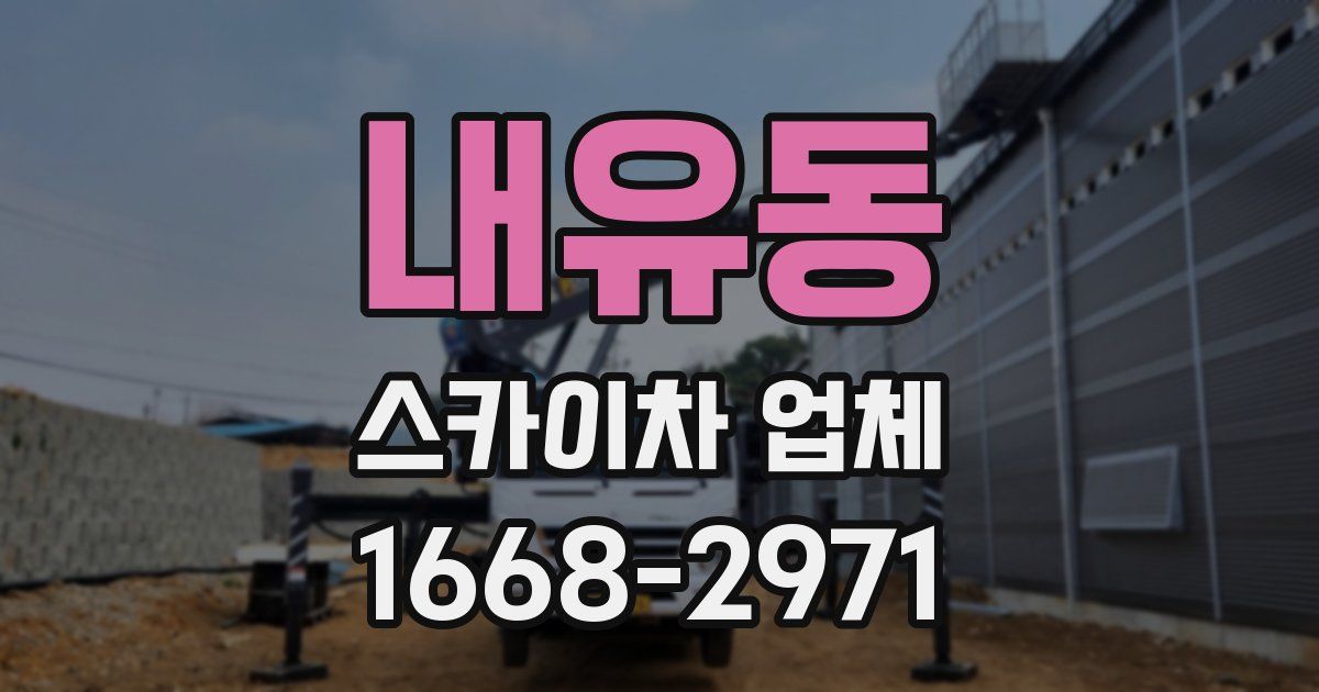 내유동 스카이차 업체
