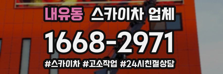 내유동 스카이차 업체