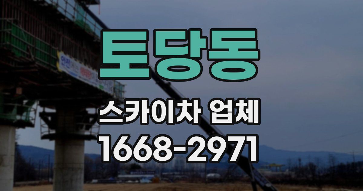 토당동 스카이차 업체
