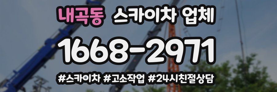 내곡동 스카이차 업체