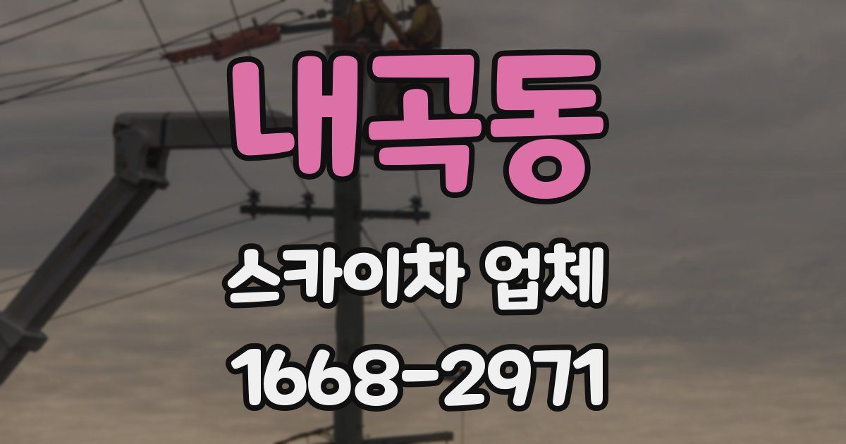 내곡동 스카이차 업체