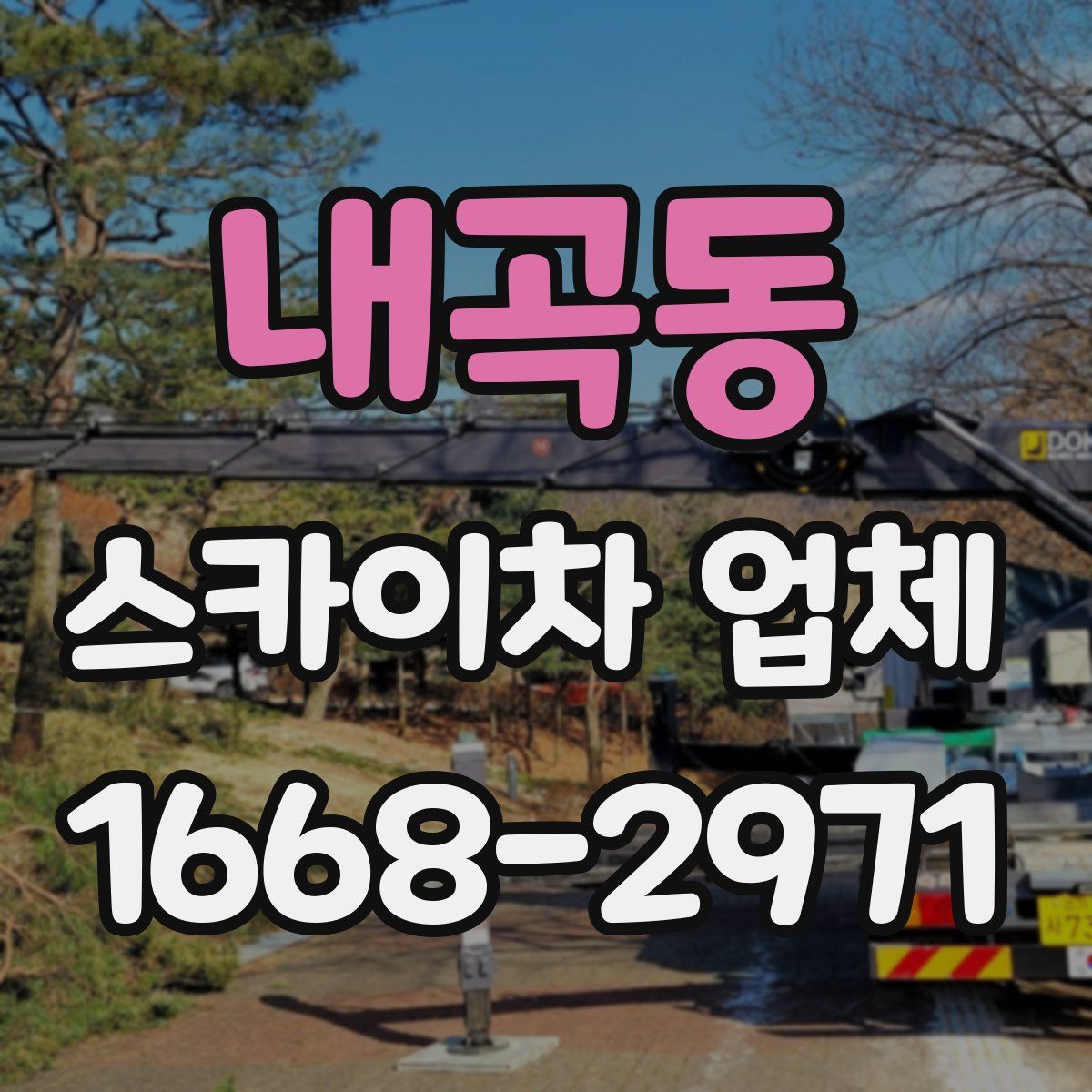 내곡동 스카이차 업체