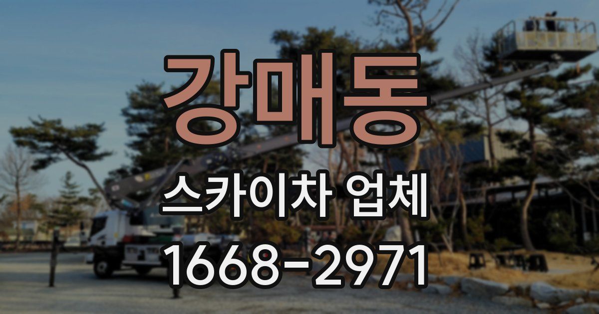 강매동 스카이차 업체