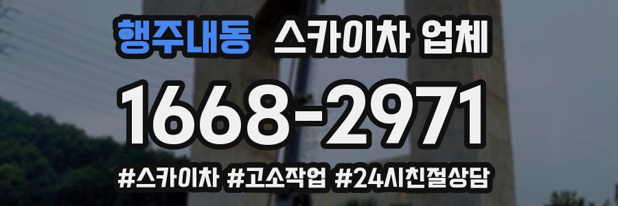 행주내동 스카이차 업체