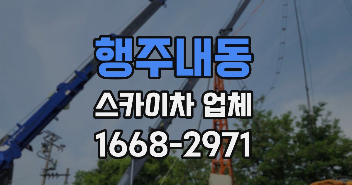 행주내동 스카이차 업체
