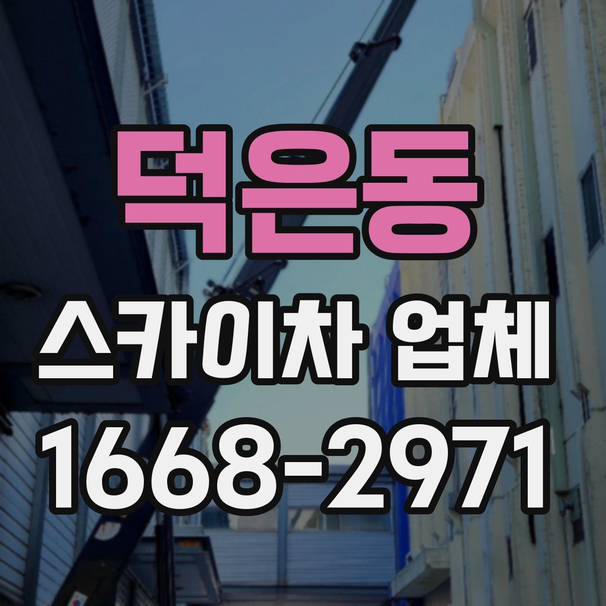 덕은동 스카이차 업체
