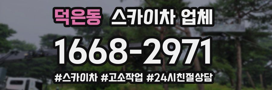 덕은동 스카이차 업체