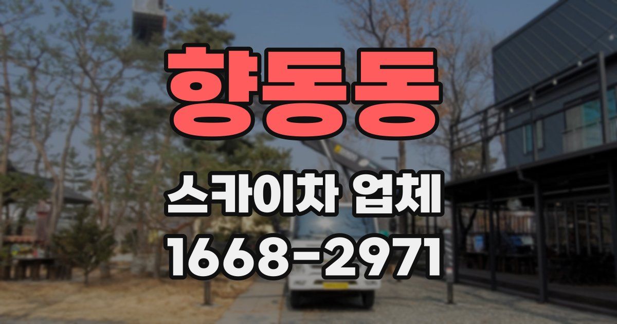 향동동 스카이차 업체