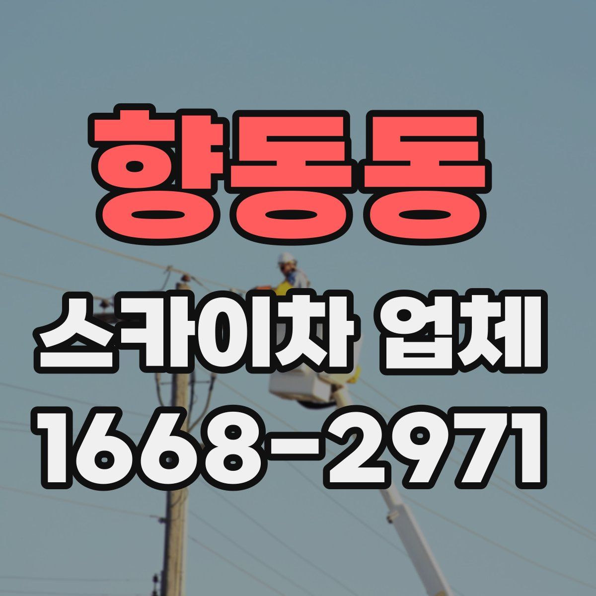 향동동 스카이차 업체