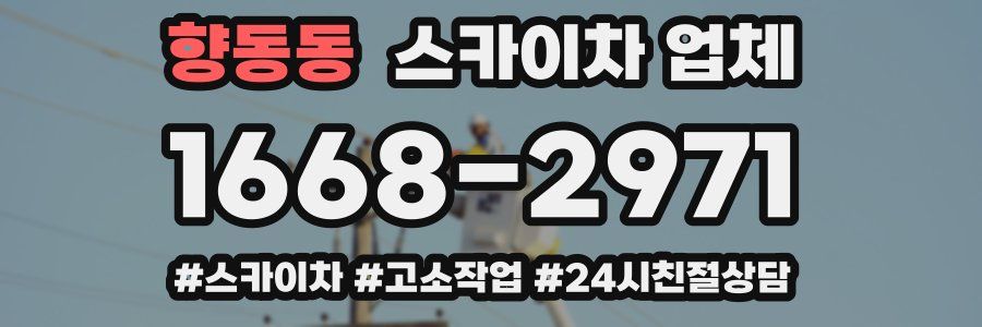 향동동 스카이차 업체