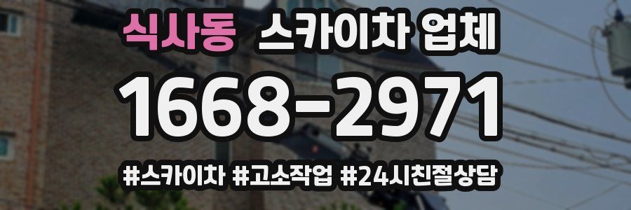 식사동 스카이차 업체