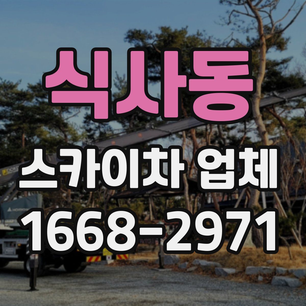 식사동 스카이차 업체
