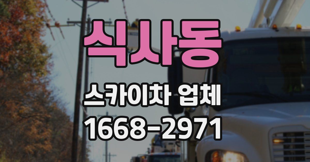 식사동 스카이차 업체