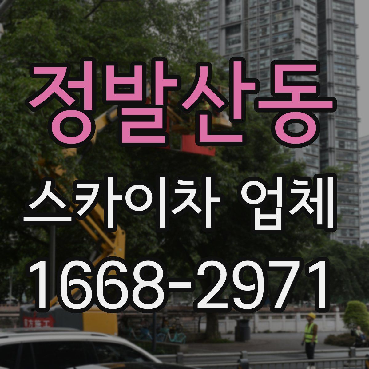 정발산동 스카이차 업체