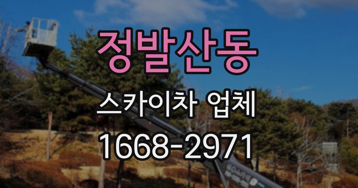 정발산동 스카이차 업체