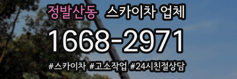 정발산동 스카이차 업체