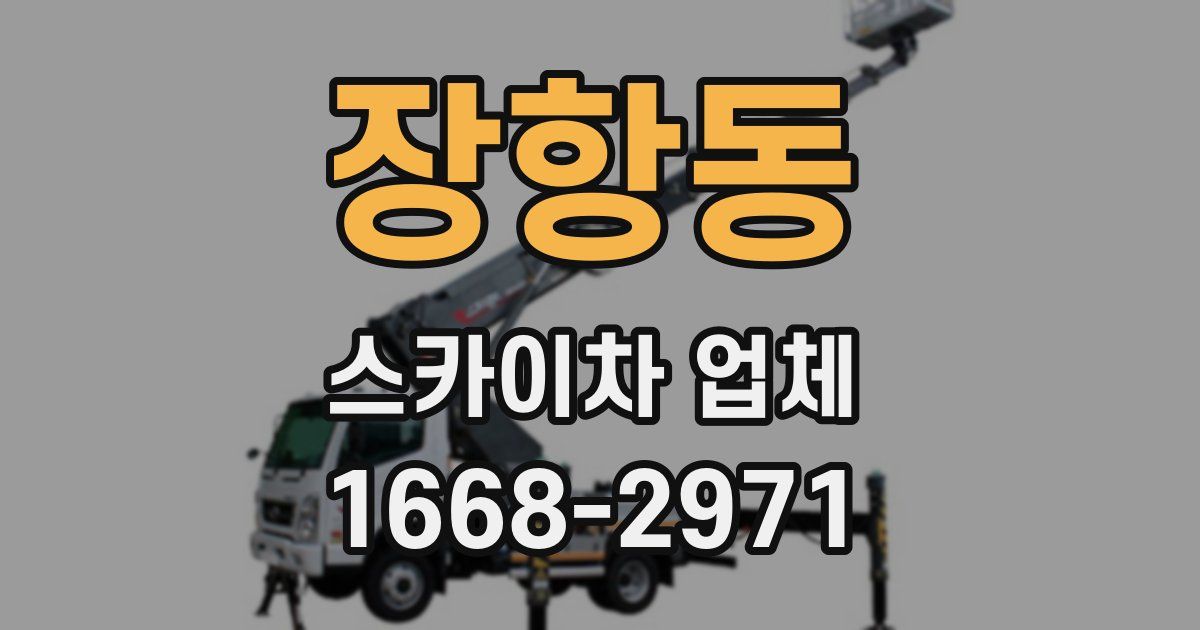 장항동 스카이차 업체