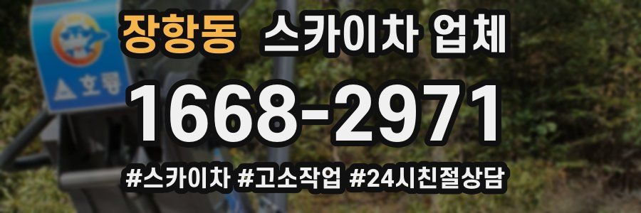장항동 스카이차 업체