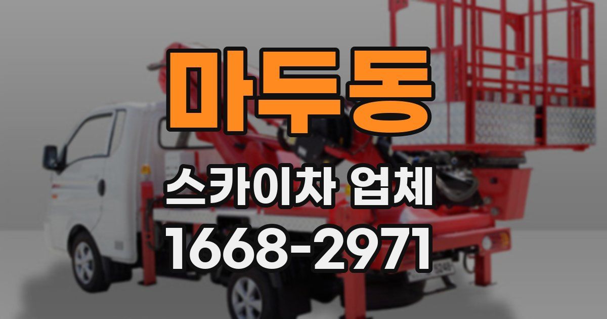 마두동 스카이차 업체