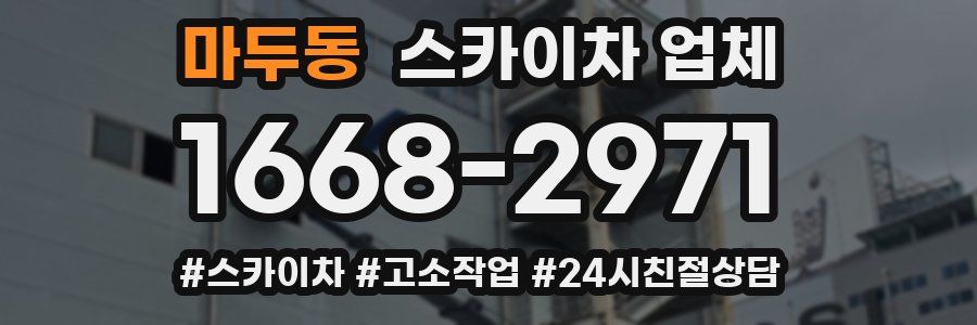마두동 스카이차 업체