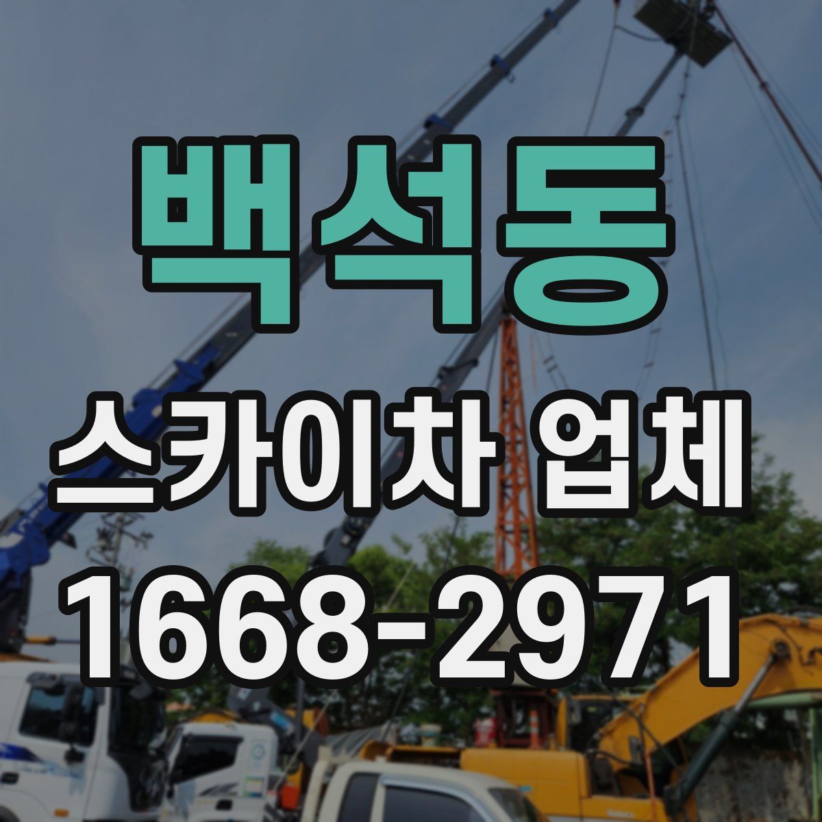 백석동 스카이차 업체