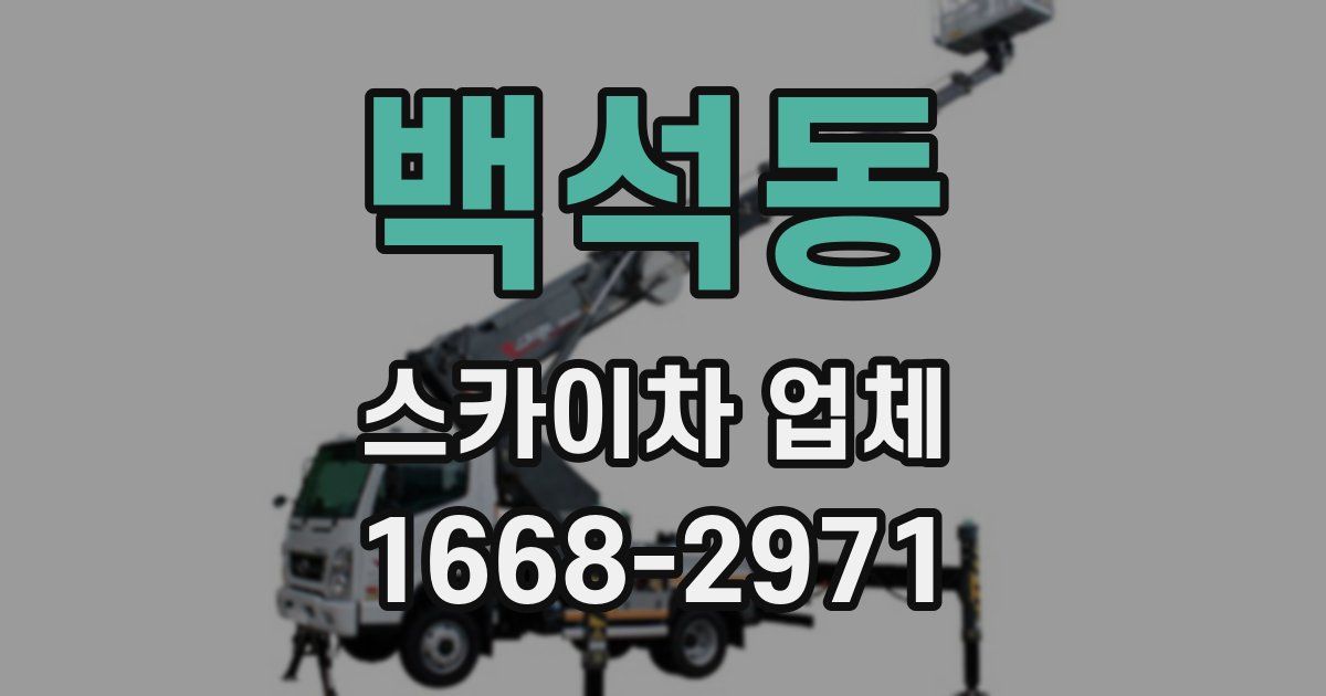 백석동 스카이차 업체