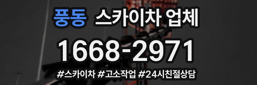 풍동 스카이차 업체