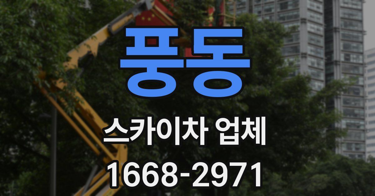 풍동 스카이차 업체