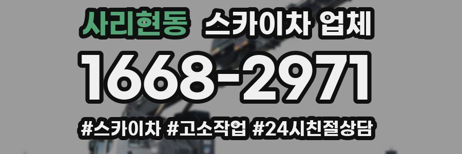 사리현동 스카이차 업체