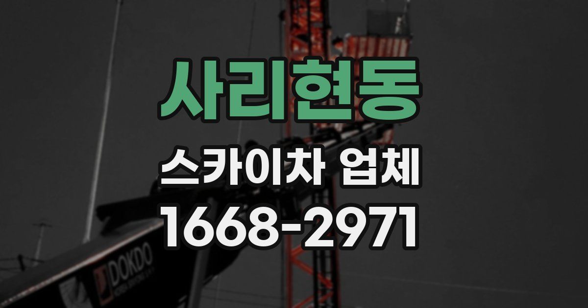 사리현동 스카이차 업체