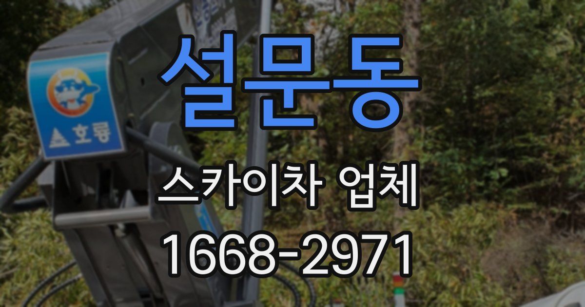 설문동 스카이차 업체