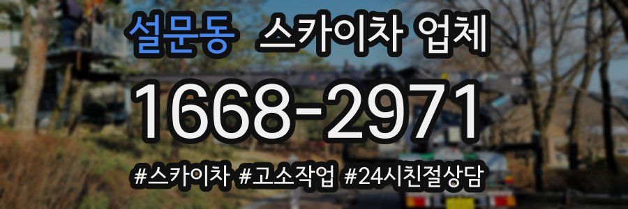 설문동 스카이차 업체
