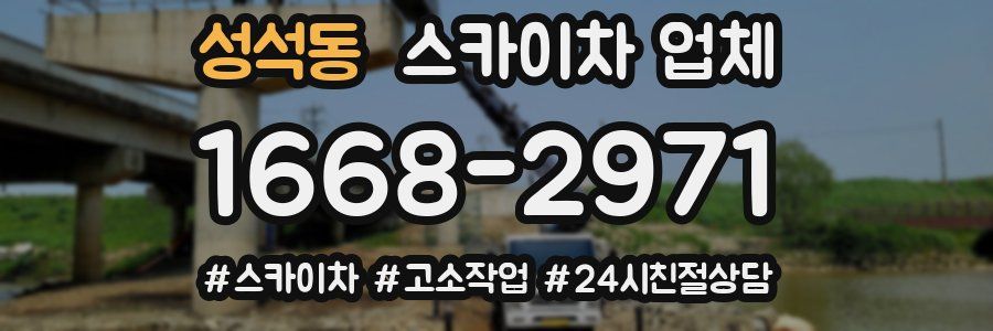 성석동 스카이차 업체