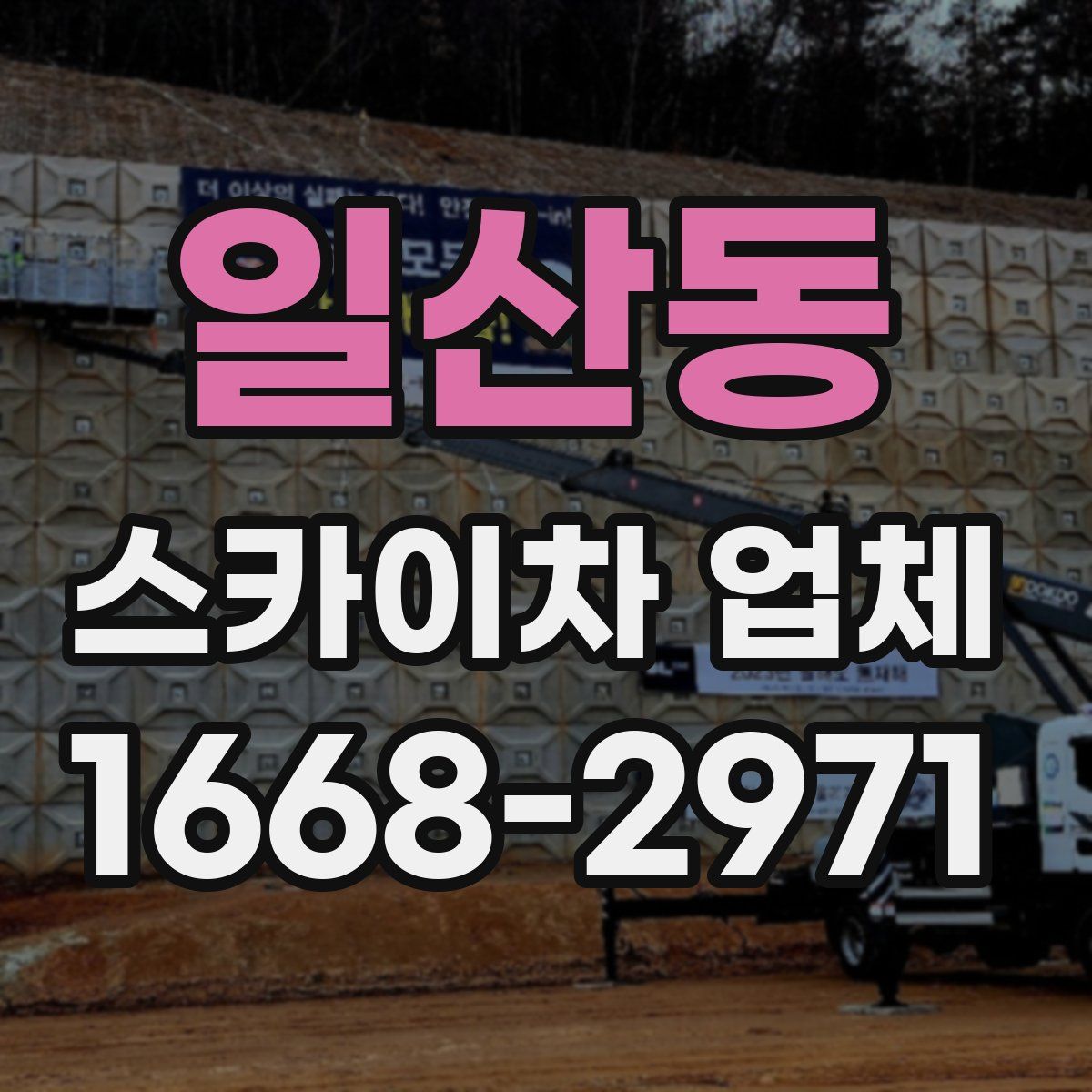 일산동 스카이차 업체